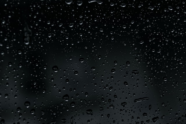 moisture