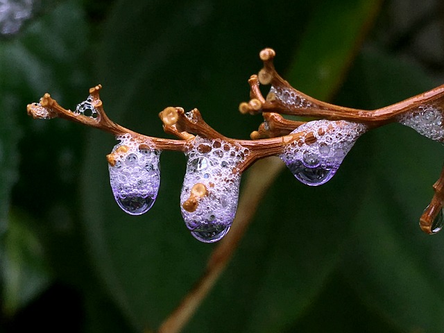moisture-640x480-95672152.jpeg