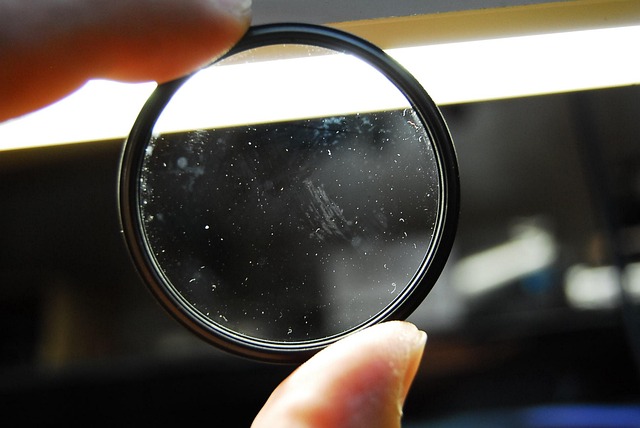 mold-640x480-90804198.jpeg
