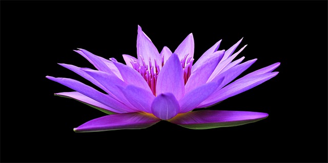 natural-640x480-89953714.jpeg