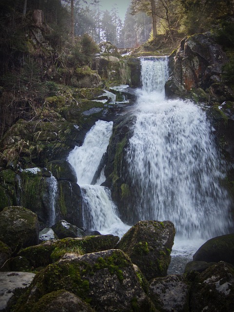 nature-640x480-17395911.jpeg