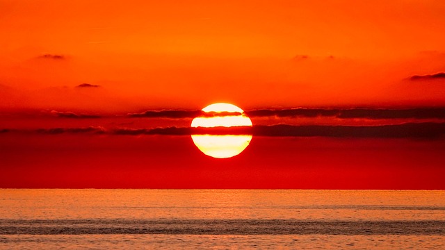 nature-640x480-19560825.jpeg
