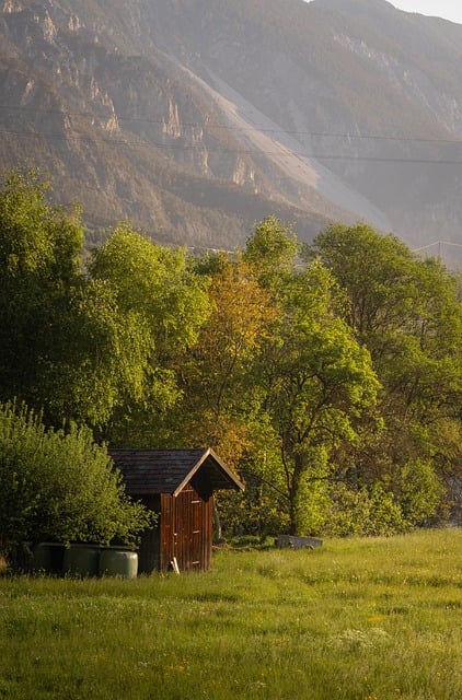 nature-640x480-20052327.jpeg
