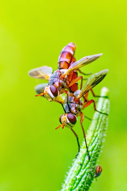 nature-640x480-22859824.jpeg