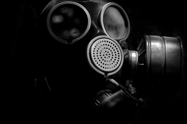 Stop Mold Spread: Natural Green Removers for Home