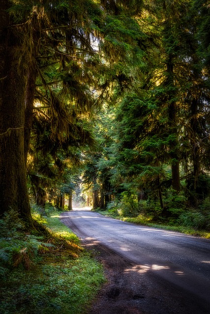 northwest