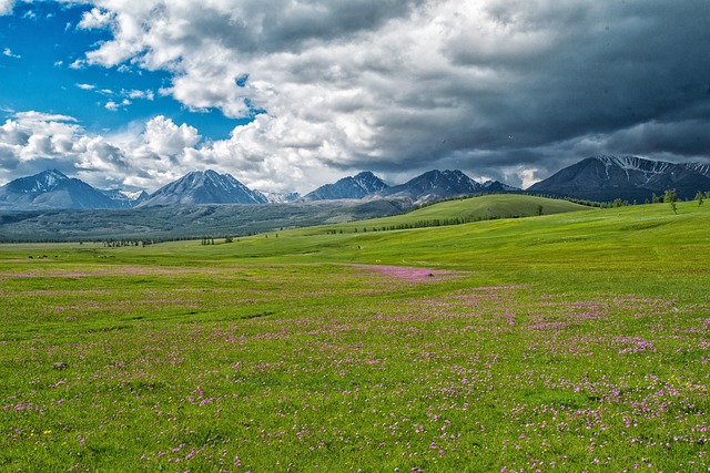 northwest