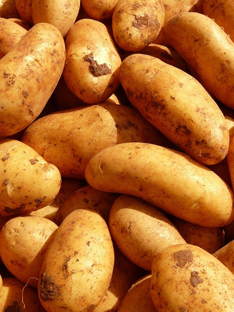 nutrition