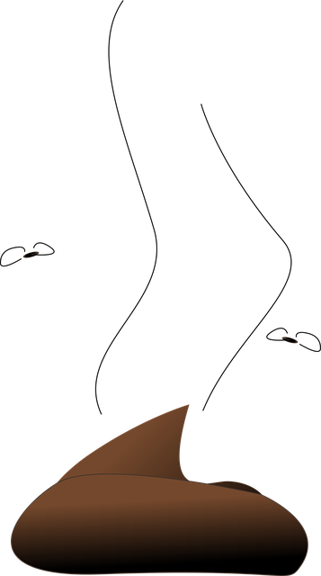 odor