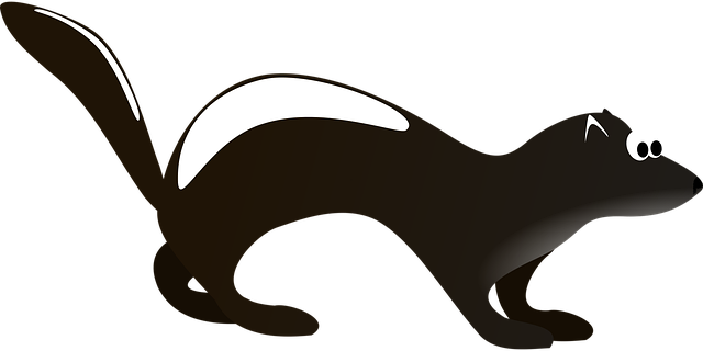 odor
