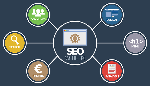 Unveiling the Power of Social Media Checks: Tools and Impact