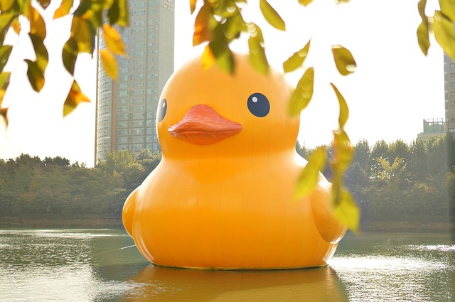Oregon Ducks