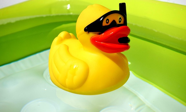 Oregon Ducks