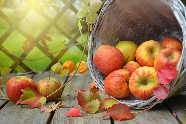 organic-640x480-55516220.jpeg