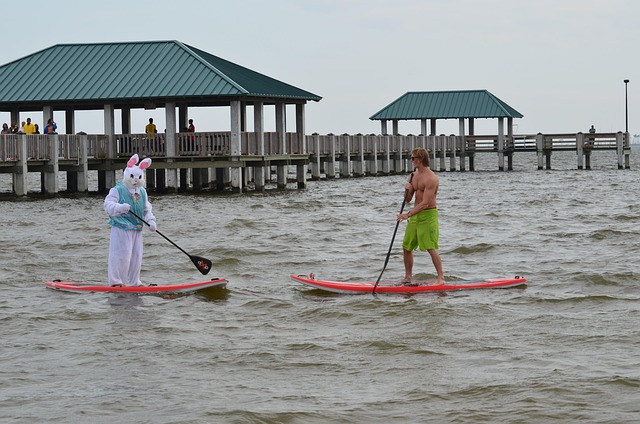 paddleboard