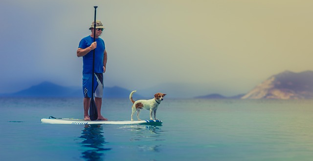 paddleboard-640x480-67620183.jpeg