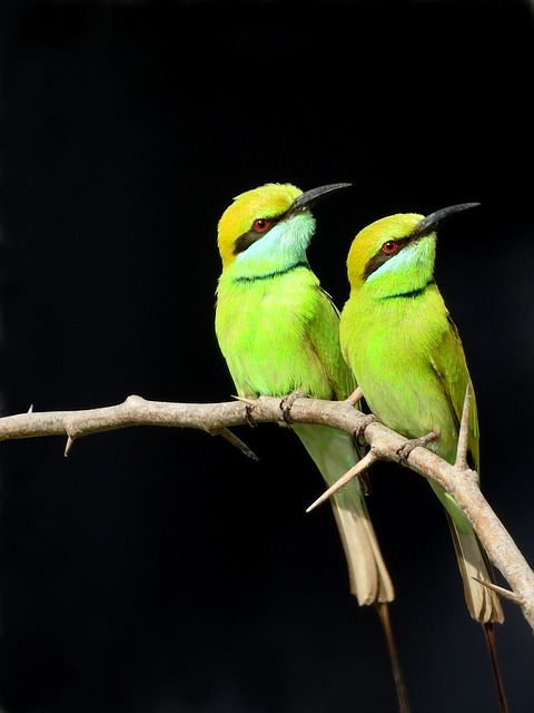 photography-640x480-16657180.jpeg