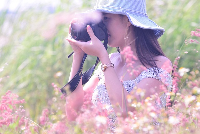 picnic