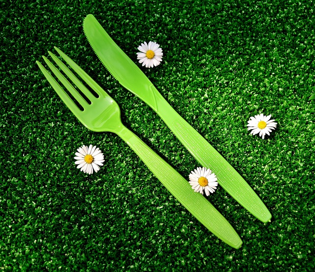 picnic