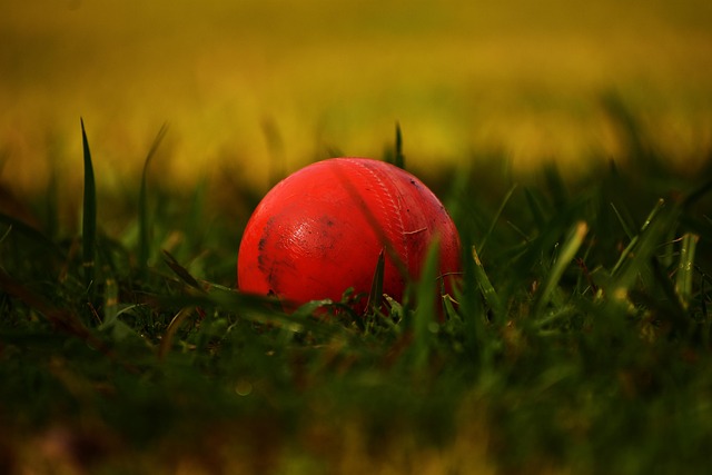 pitch-640x480-91404511.jpeg