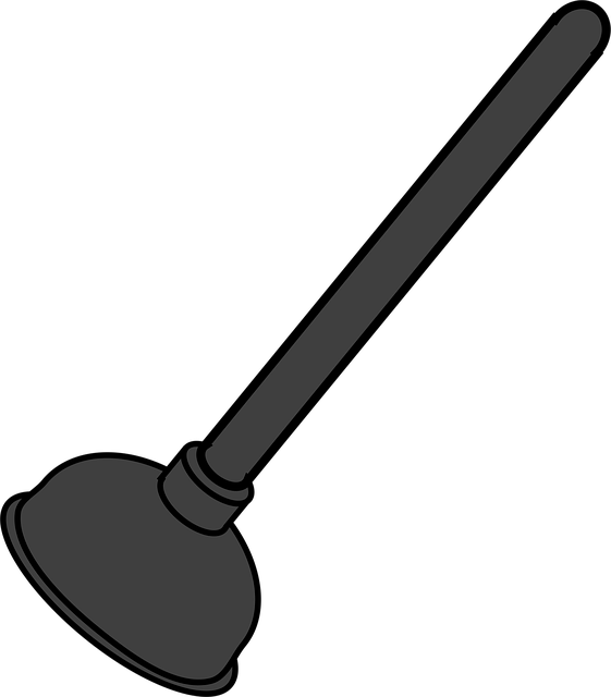 plunger