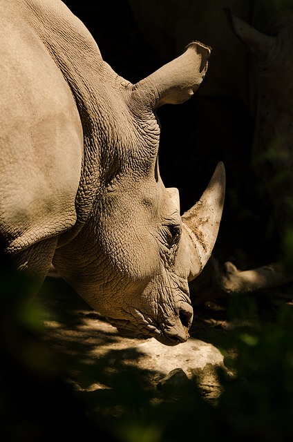 profiles