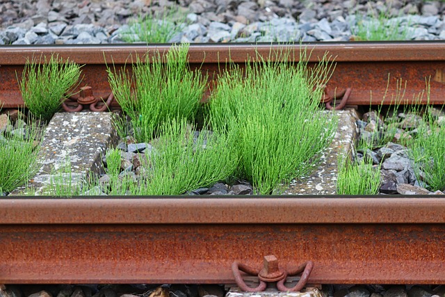 railroad