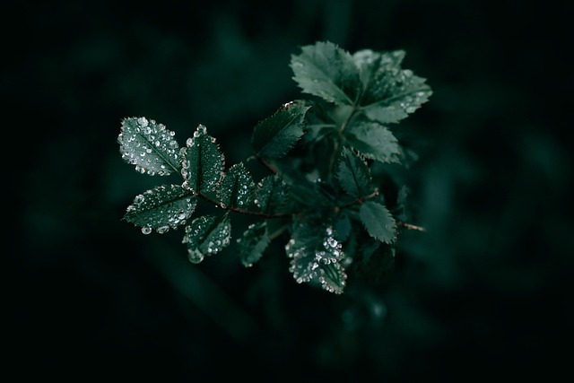 rain-640x480-33588714.jpeg