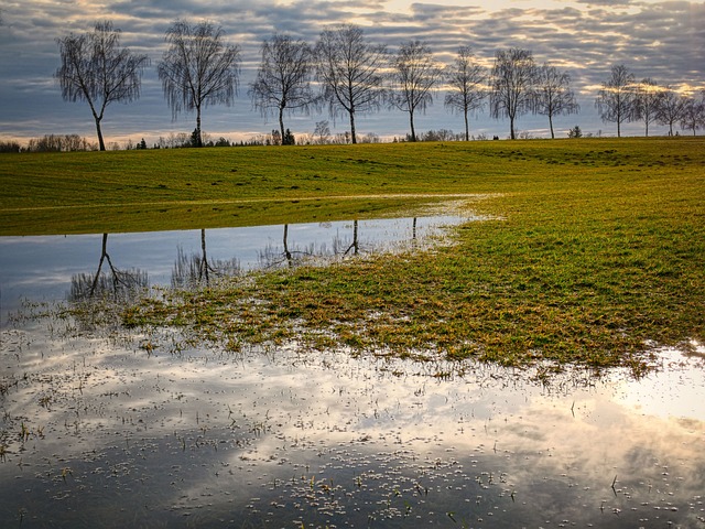 rainwater