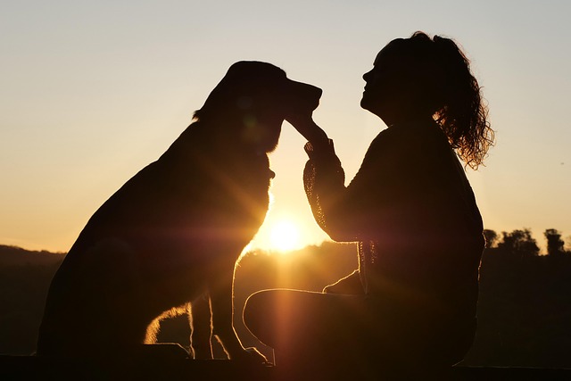 relationships-640x480-54990132.jpeg