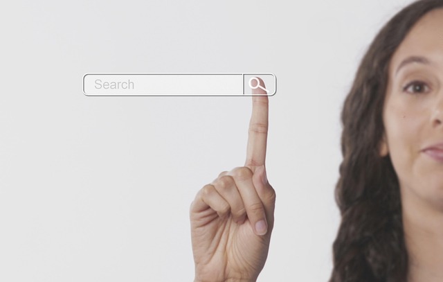 rental search
