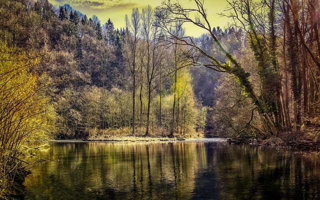 McKenzie River Kayaking Tours: Safety & Environmental Rules