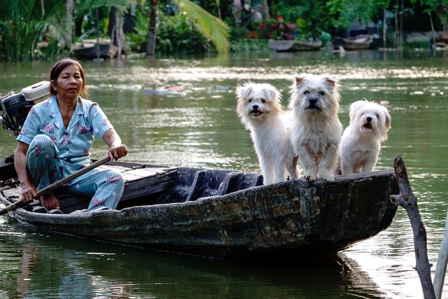 river-640x480-42366691.jpeg