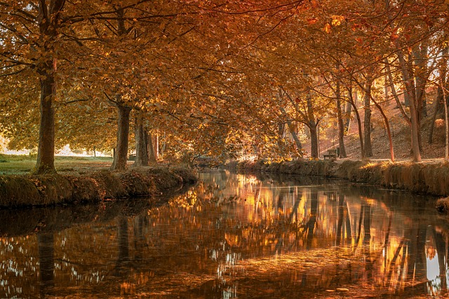 river-640x480-83678604.jpeg