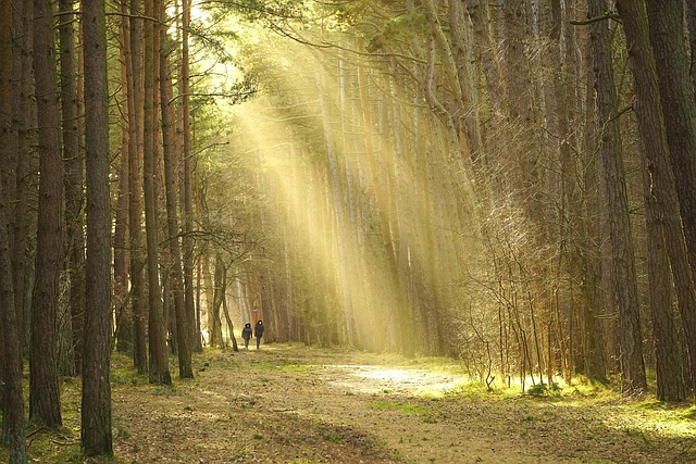 road-640x480-40108318.jpeg