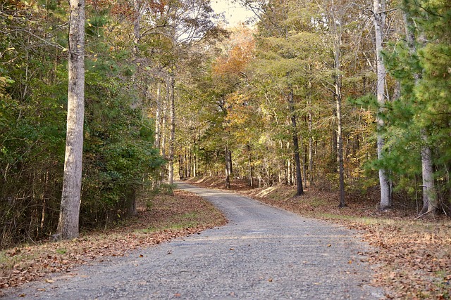 road
