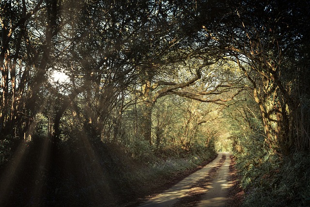 roads