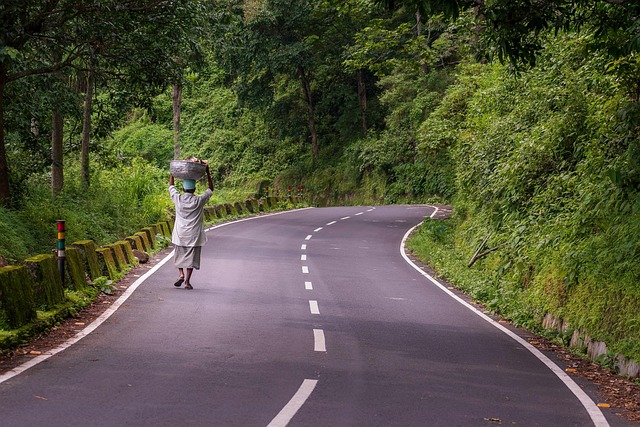 roads