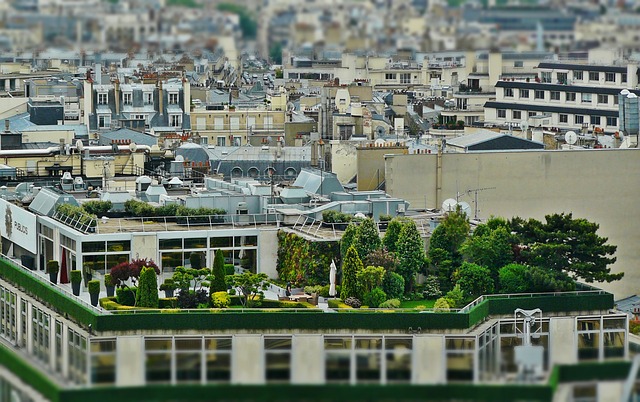 roof-640x480-68931183.jpeg