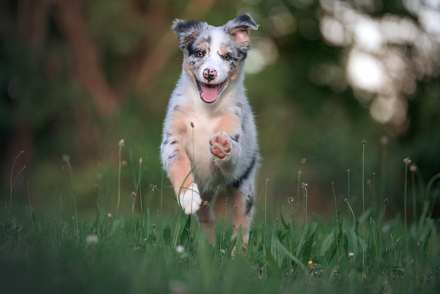 running