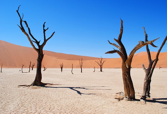 sand-640x480-15241214.jpeg