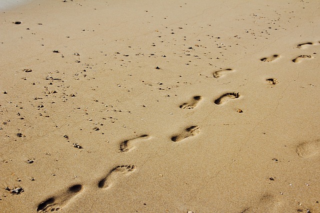 Unwind at Secluded Beaches in Oregon’s Florence