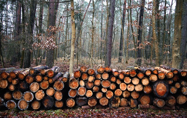 sawmills