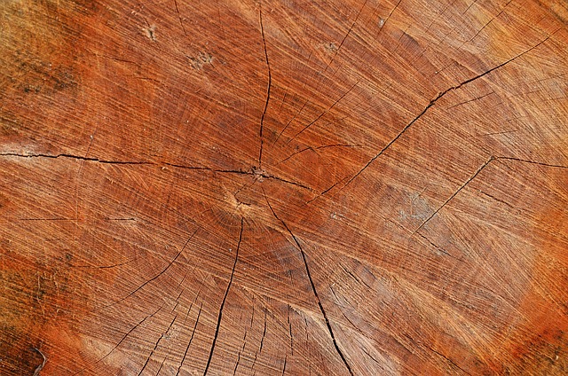 sawmills-640x480-67206820.jpeg