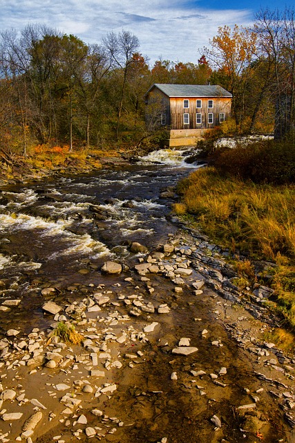sawmills