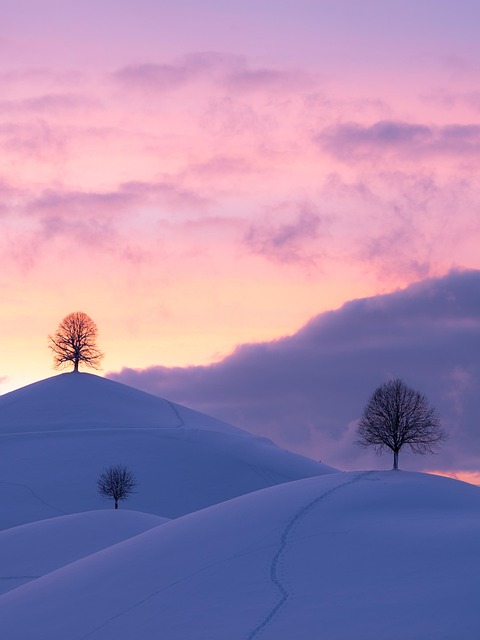 scenic