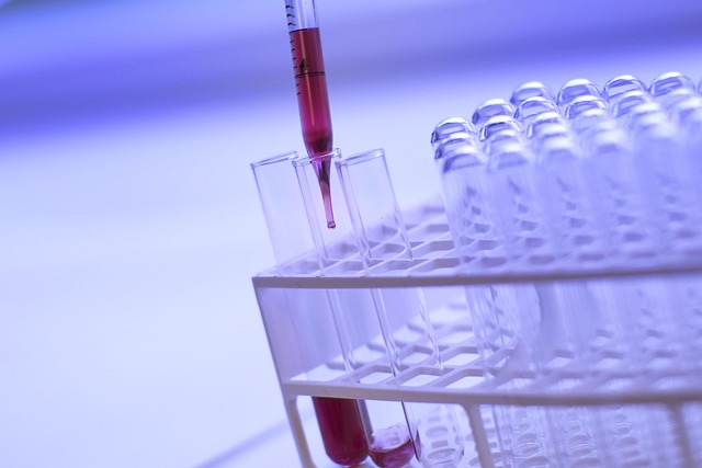 Screening Past Convictions: Ensuring Child Safety Background Checks