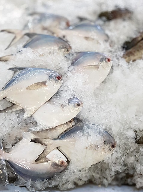 seafood-640x480-76202583.jpeg