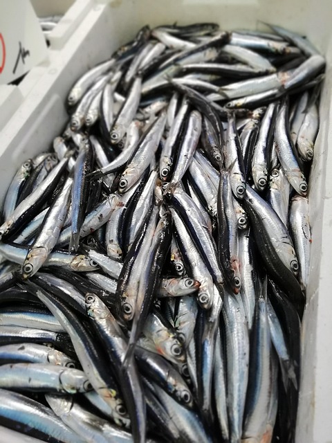 seafood-640x480-82953670.jpeg
