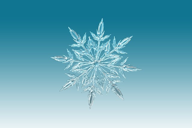 seasonal